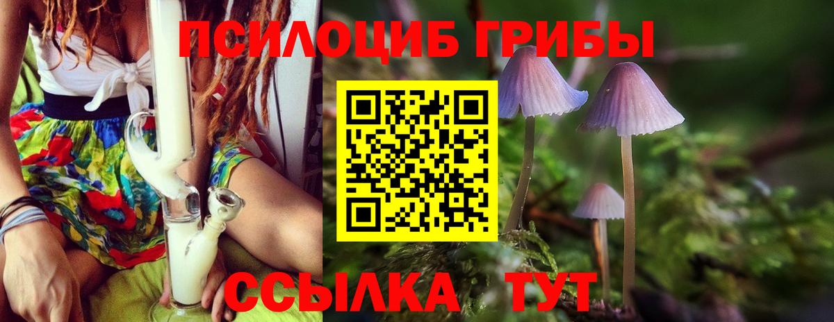 Псилоцибиновые грибы Psilocybine cubensis  Галлюциногенные грибы мухоморы  Анапа  Вход с VPN 